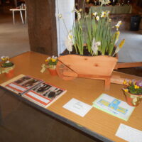 Lady Bankes Primary School Take Part in Spring Horticultural Competition Lady Bankes display and journal