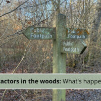 whatshappeninginthewoods